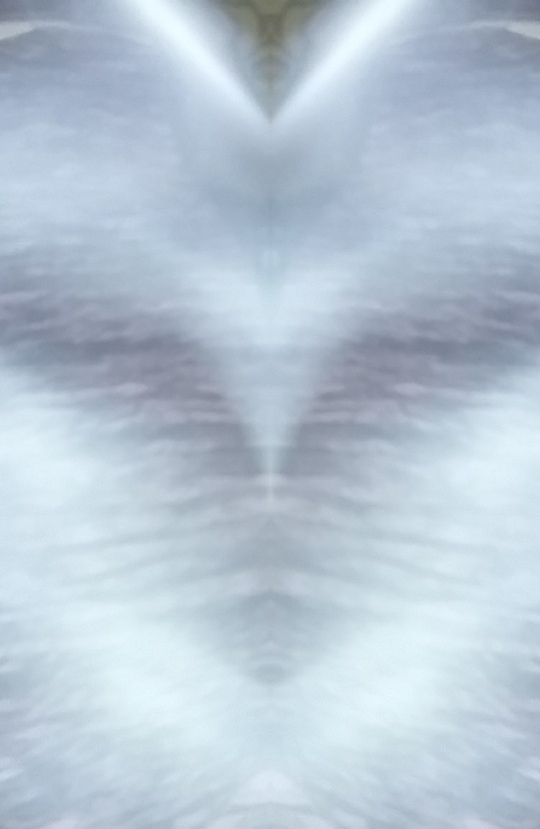 Symmetry Image